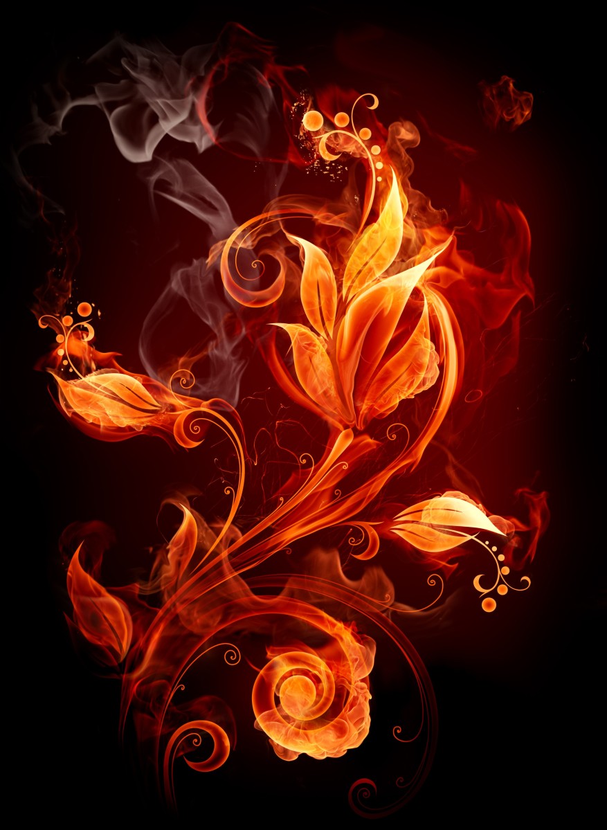 flower-burning.jpg?w=877